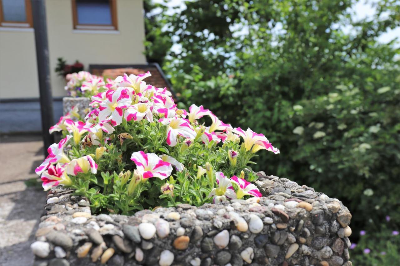 Gaestehaus Willaringen Rickenbach  Kültér fotó