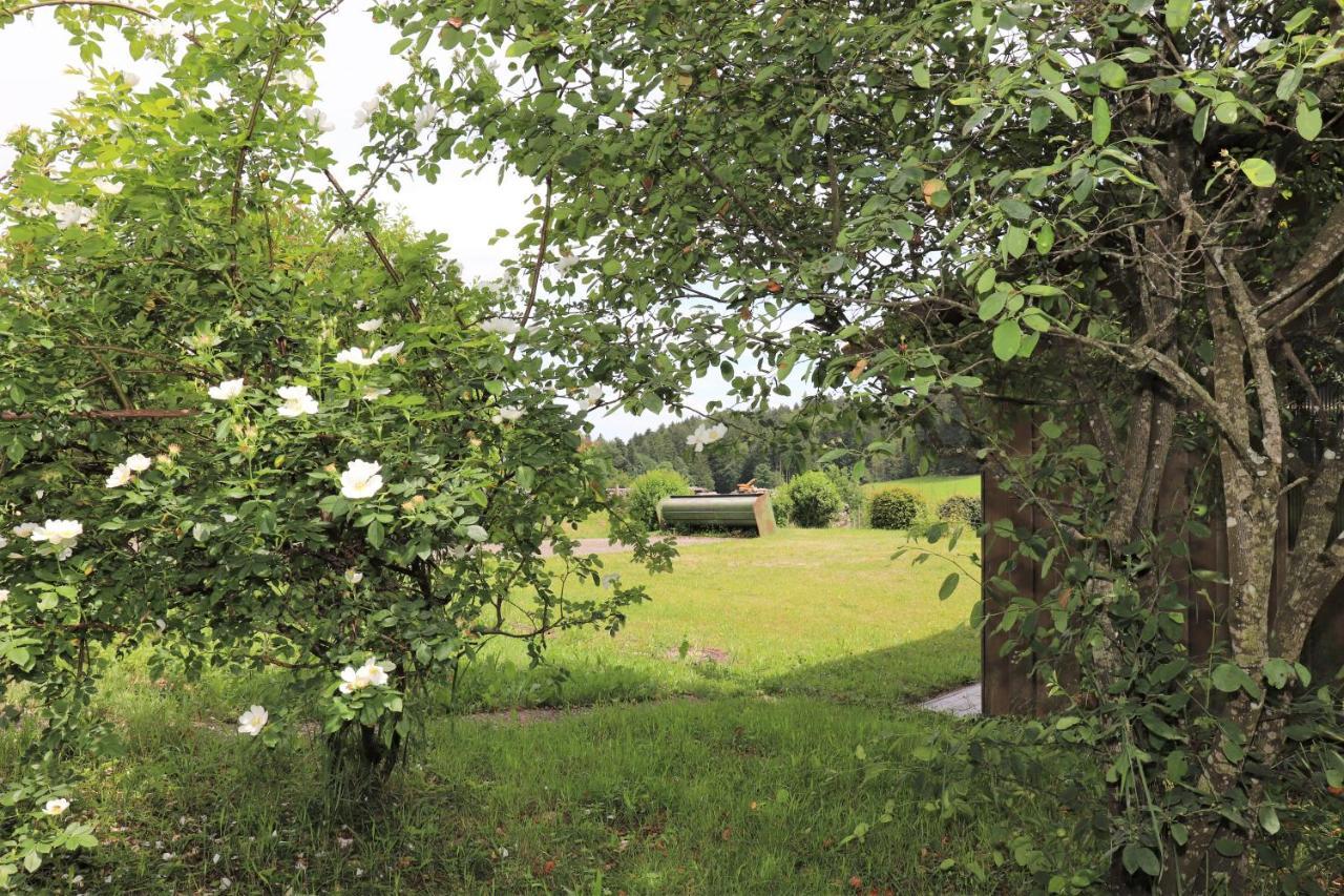 Gaestehaus Willaringen Rickenbach  Kültér fotó